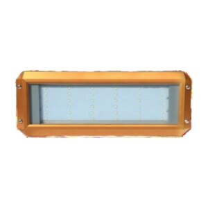 ATEX | Floodlight | 30W