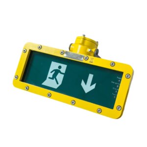 ATEX | Nood-volgverlichting | Opbouw | 4W | Pijl omlaag