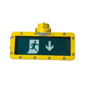 ATEX | Nood-volgverlichting | Opbouw | 4W | Pijl omlaag