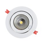 Slagerijverlichting |Downlight |170mm |20-38W |1800K | Wit