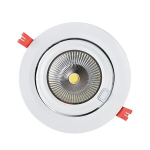 Slagerijverlichting |Downlight |170mm |20-38W |1800K | Wit