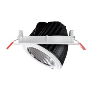 Slagerijverlichting |Downlight |170mm |20-38W |1800K | Wit