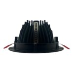 Slagerijverlichting | Downlight | 20-38W |1800K | Zwart