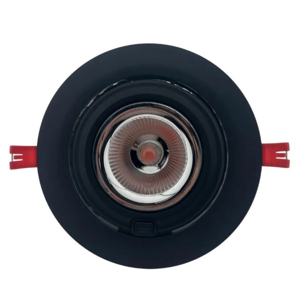 Slagerijverlichting | Downlight | 20-38W |1800K | Zwart
