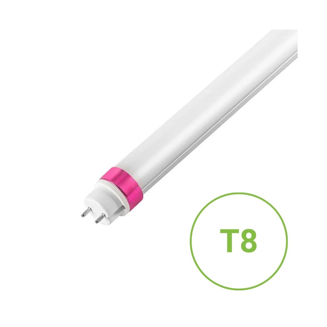 T8 TL buis wit met roze fitting uiteinde