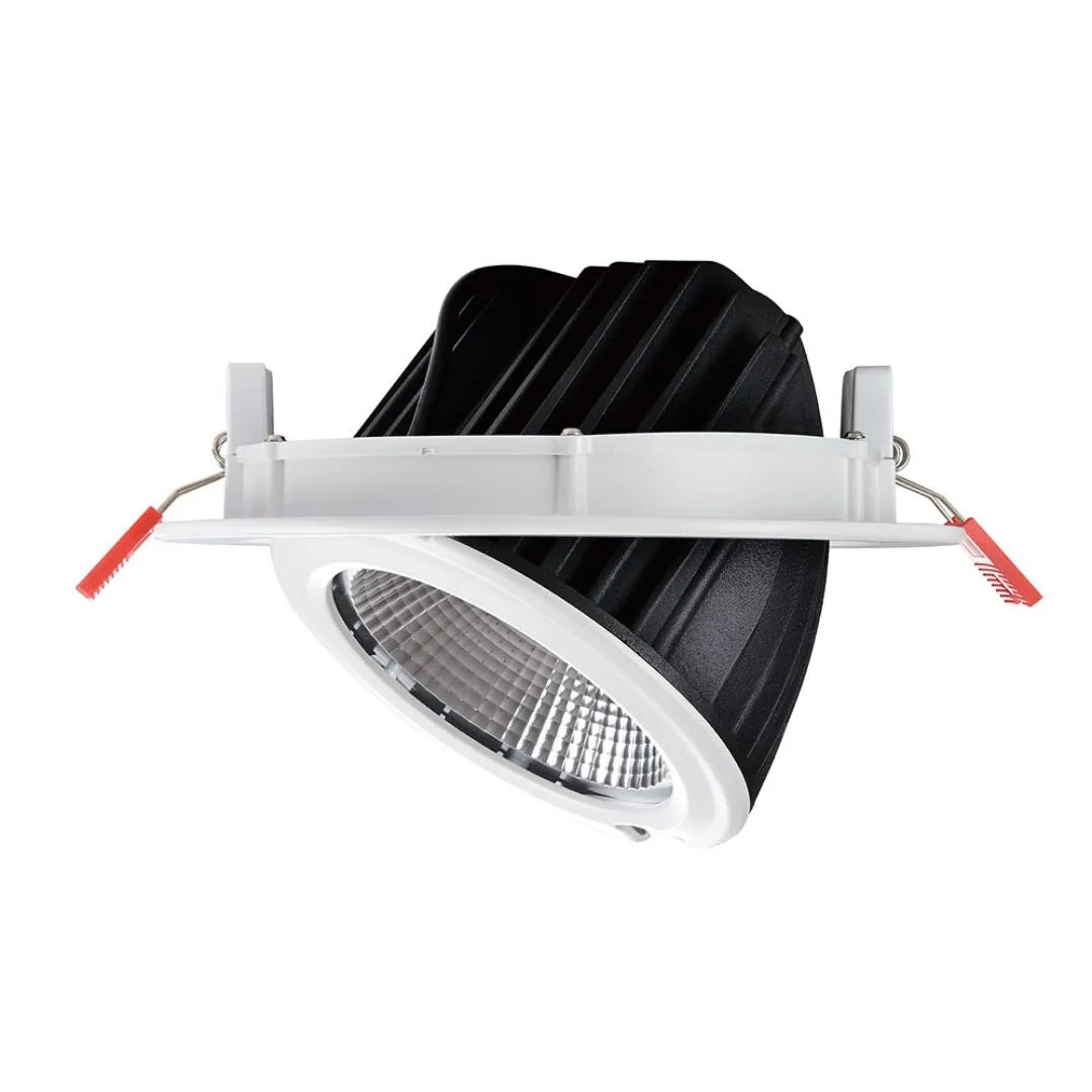 Witte en zwarte verstelbare downlight met reflector voor slagerijverlichting